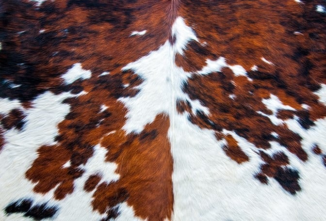 Cowhide Fabric